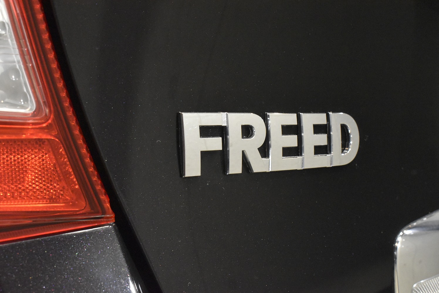 20210817freed_008.jpg