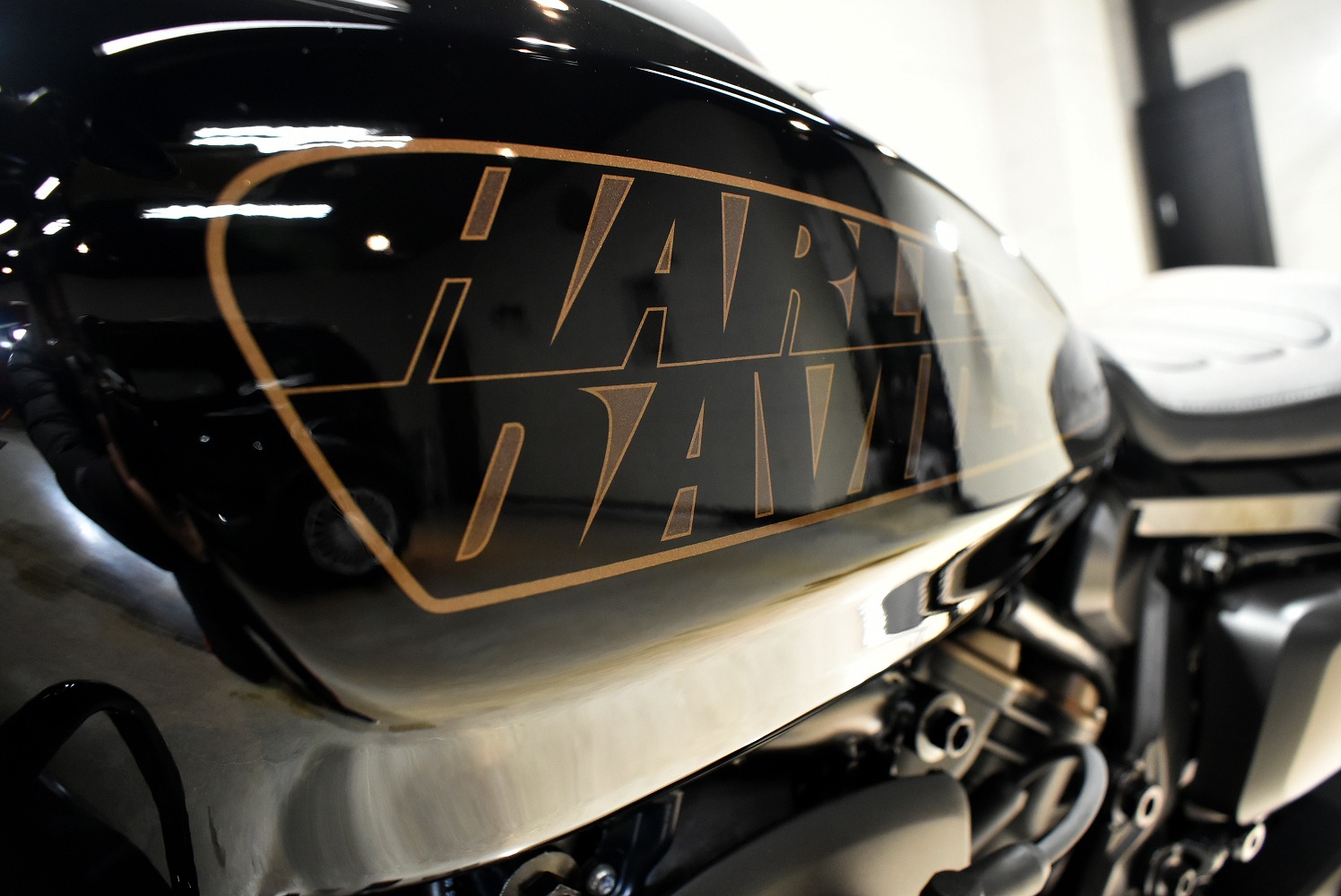 20220211harleysportstars013.jpg