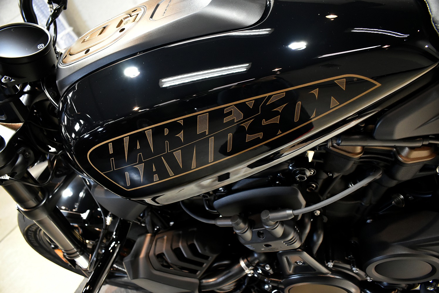 20220211harleysportstars015.jpg