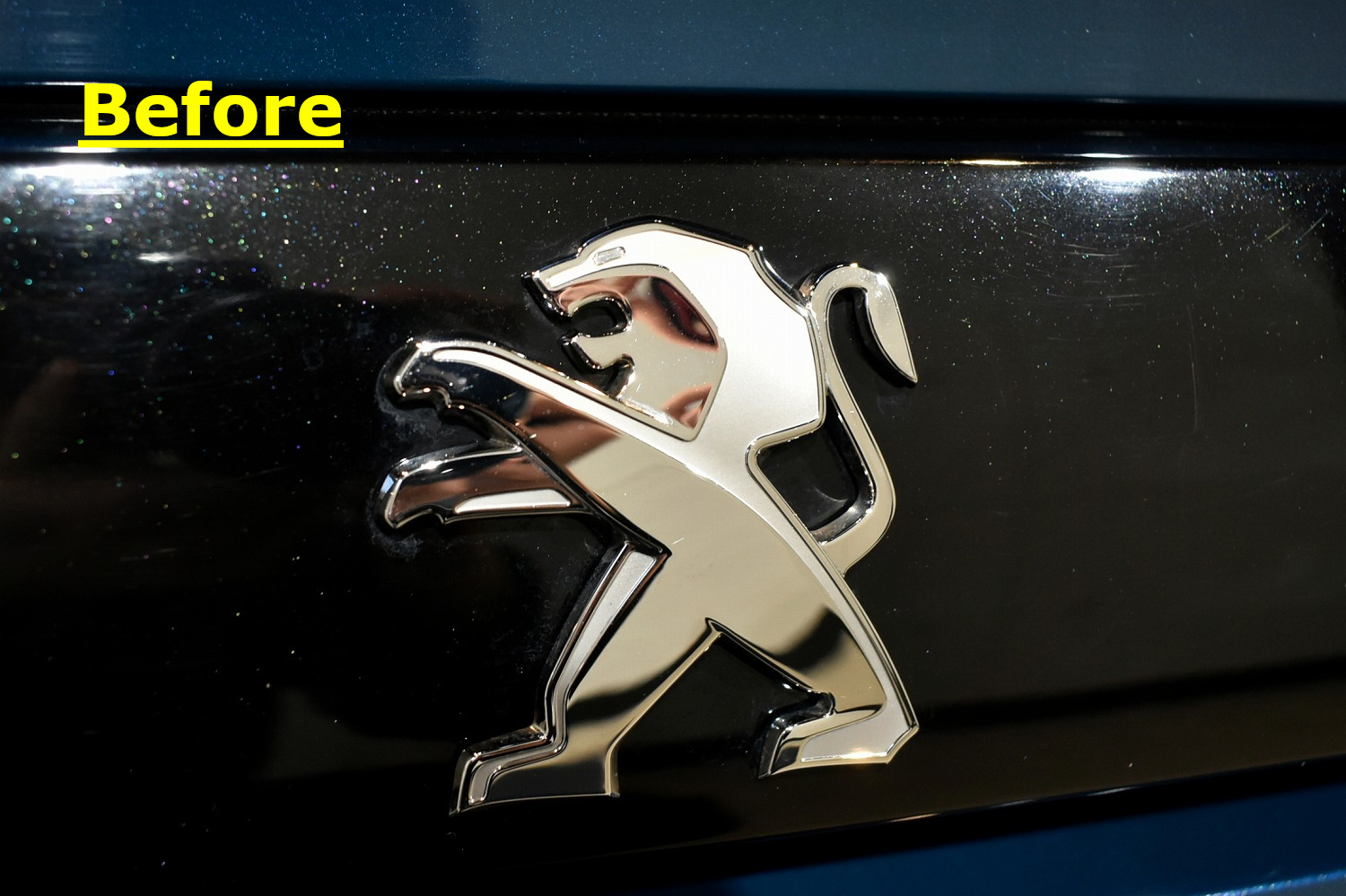 20220219peugeot508_lion_b.jpg