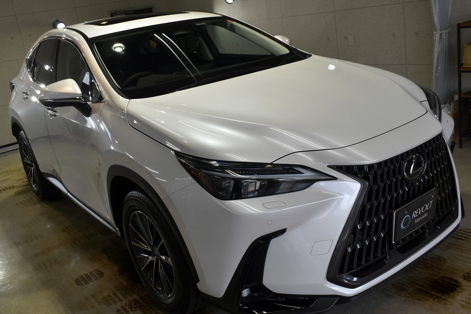 20230527lexus_nx_001.jpg