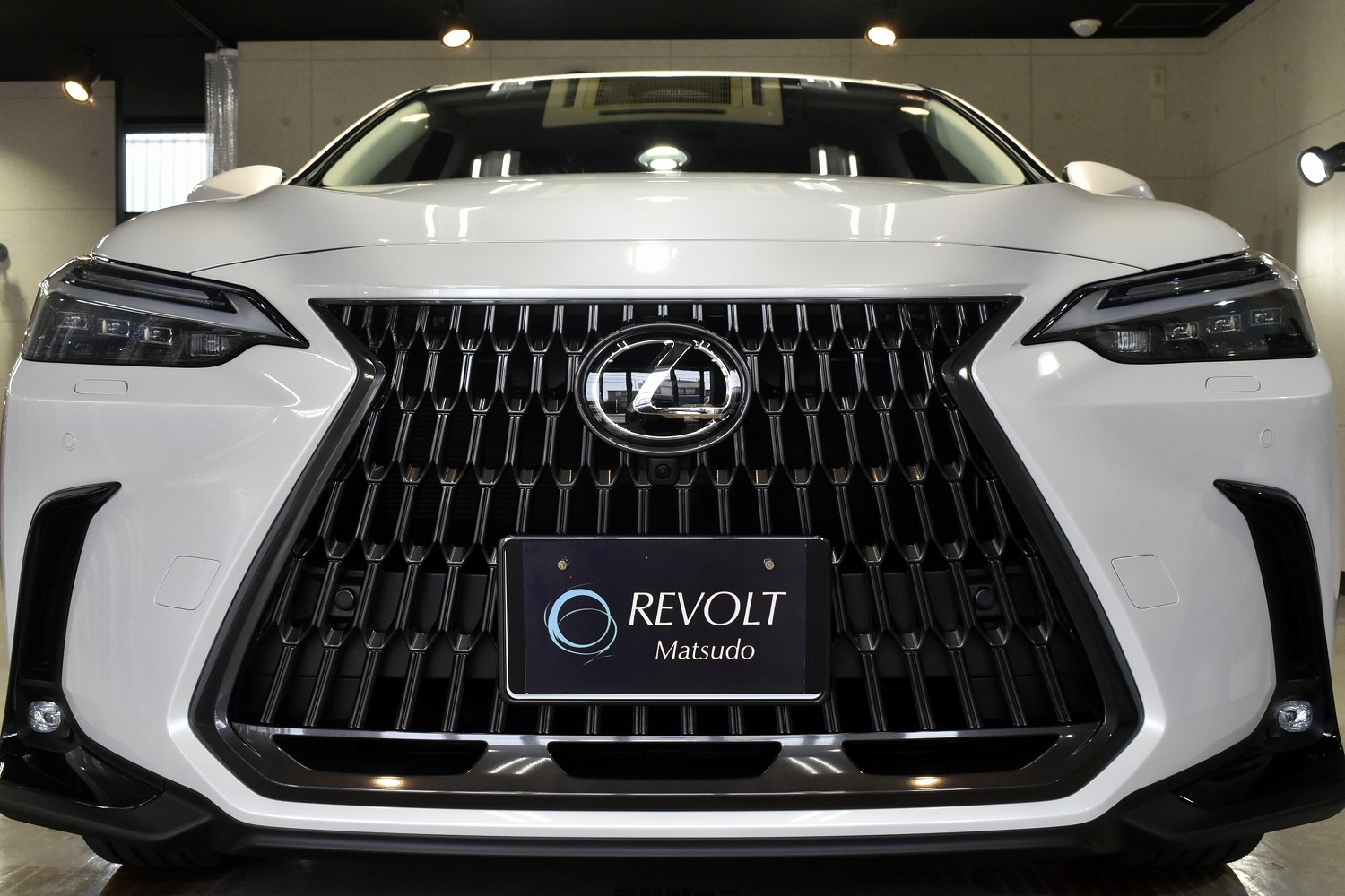 20230527lexus_nx_002.jpg