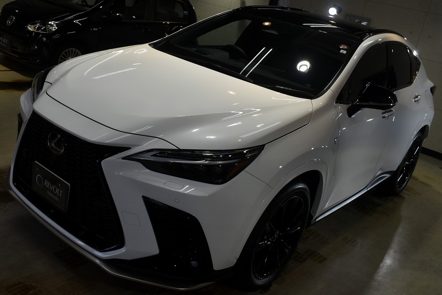 20230810lexus-nx_001.jpg