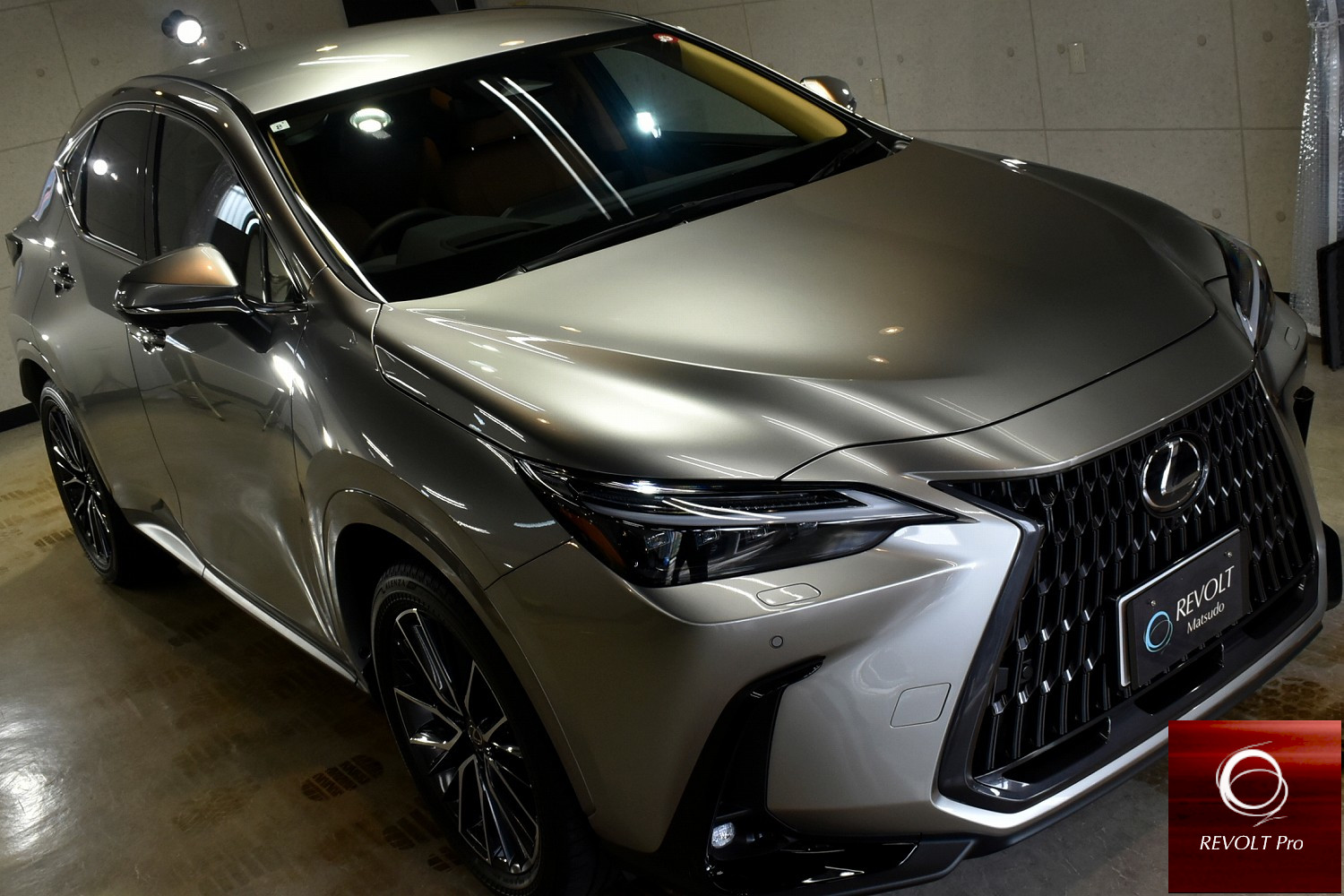 20230907lexus-nx001g.jpg